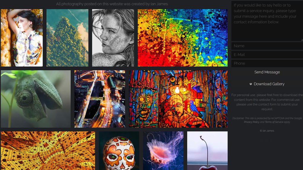 ian portfolio example