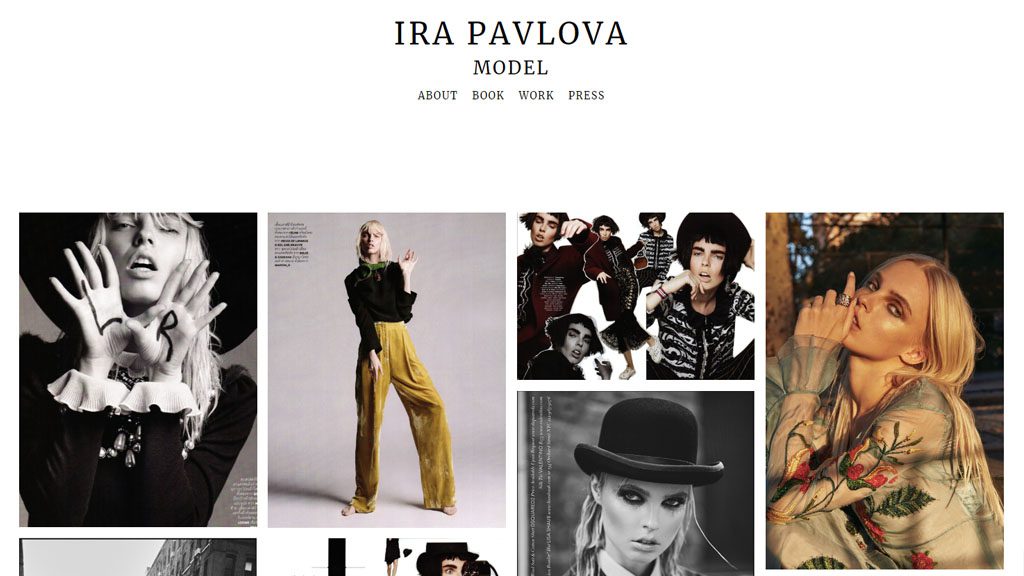 ira portfolio example