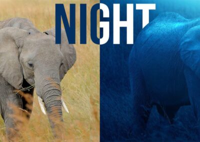 How to turn day into night in Adobe Photoshop, with PiXimperfect