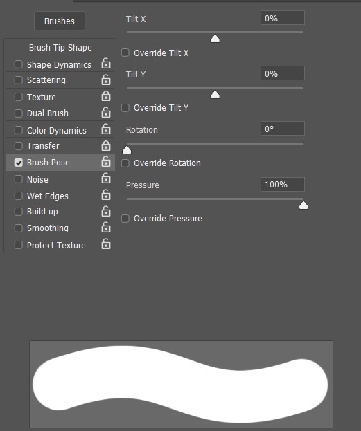 Brush Pose Panel