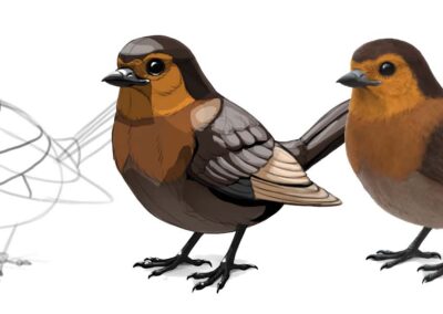 How to draw a bird, with Monika Zagrobelna