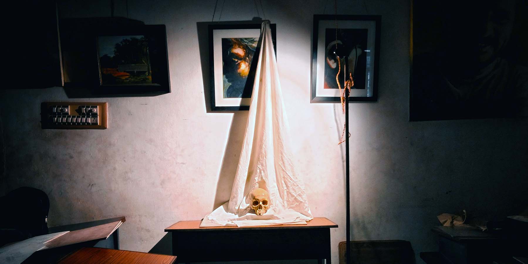 Still Life Skull by Av Creations on Unsplash