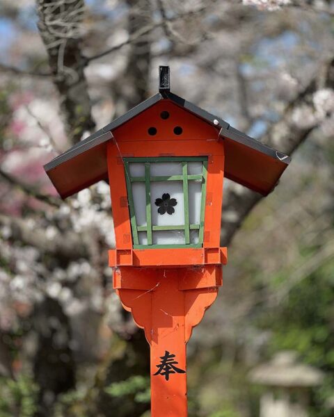 Sky Bergman Birdhouse Photo