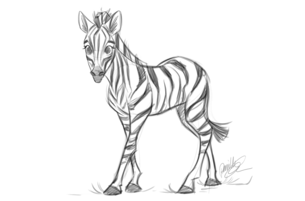 Pernille Orum Zebra Drawing