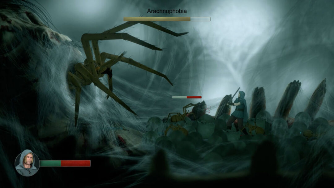 Evard the Hermit Screenshot 1 Spider