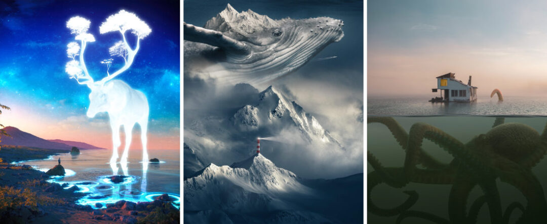 Ted Chin Portfolio Examples