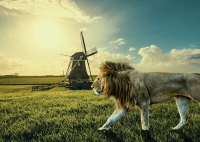 Como combinar duas fotografias no Adobe Photoshop, com Colin Smith